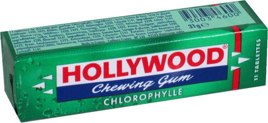 hollywoodgym