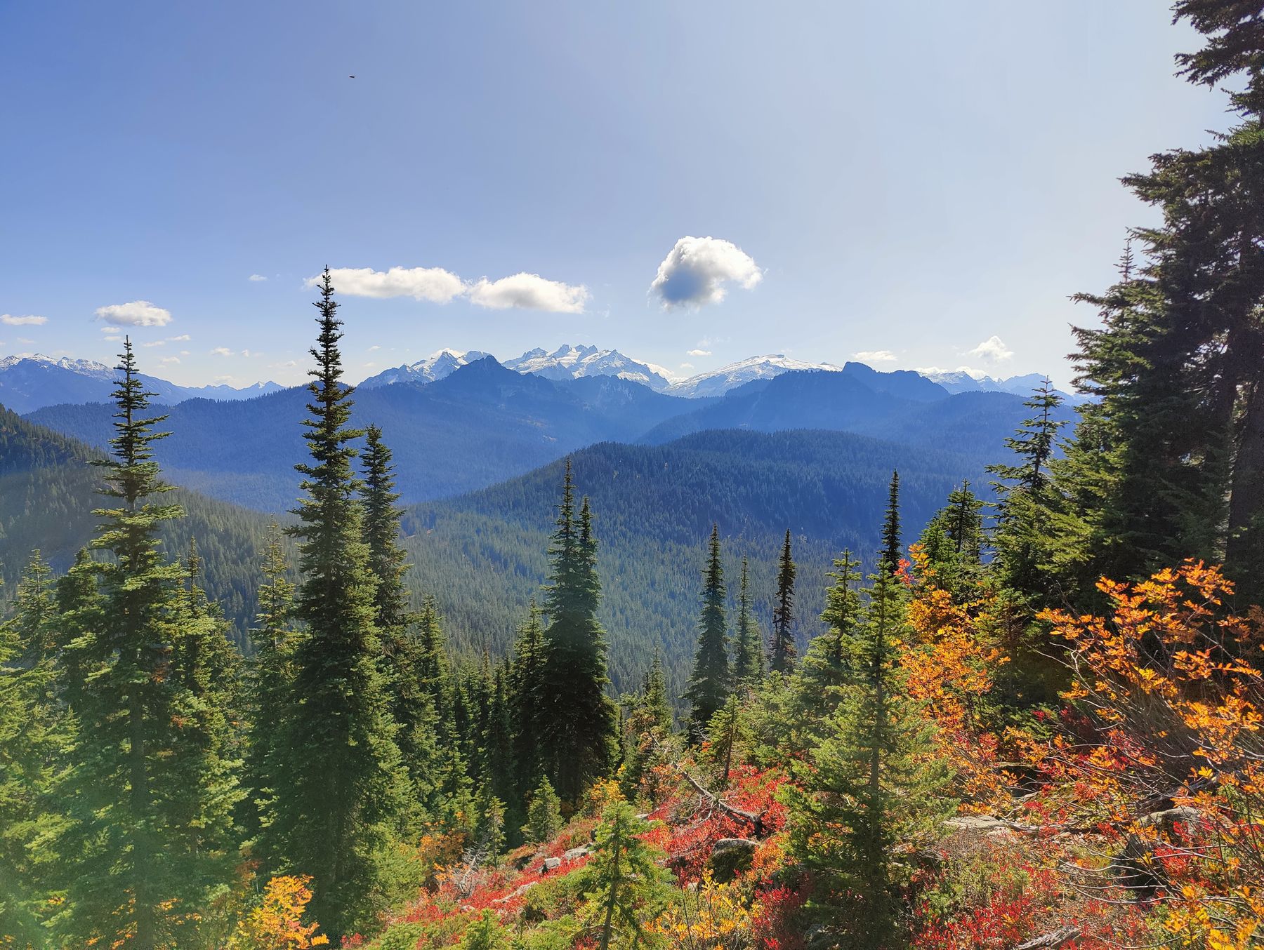 Cascade views from the ridge