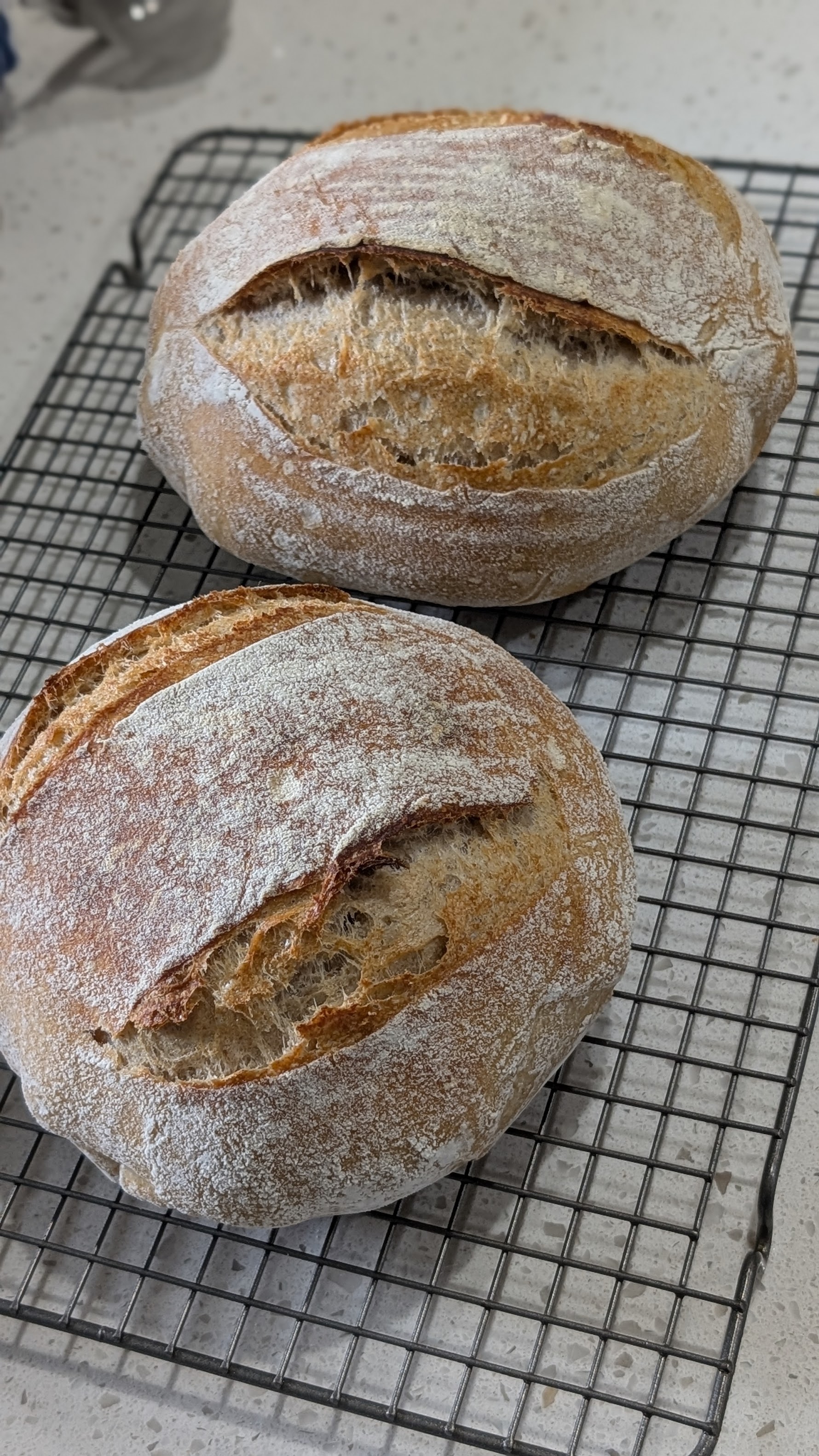 Vermont Sourdough